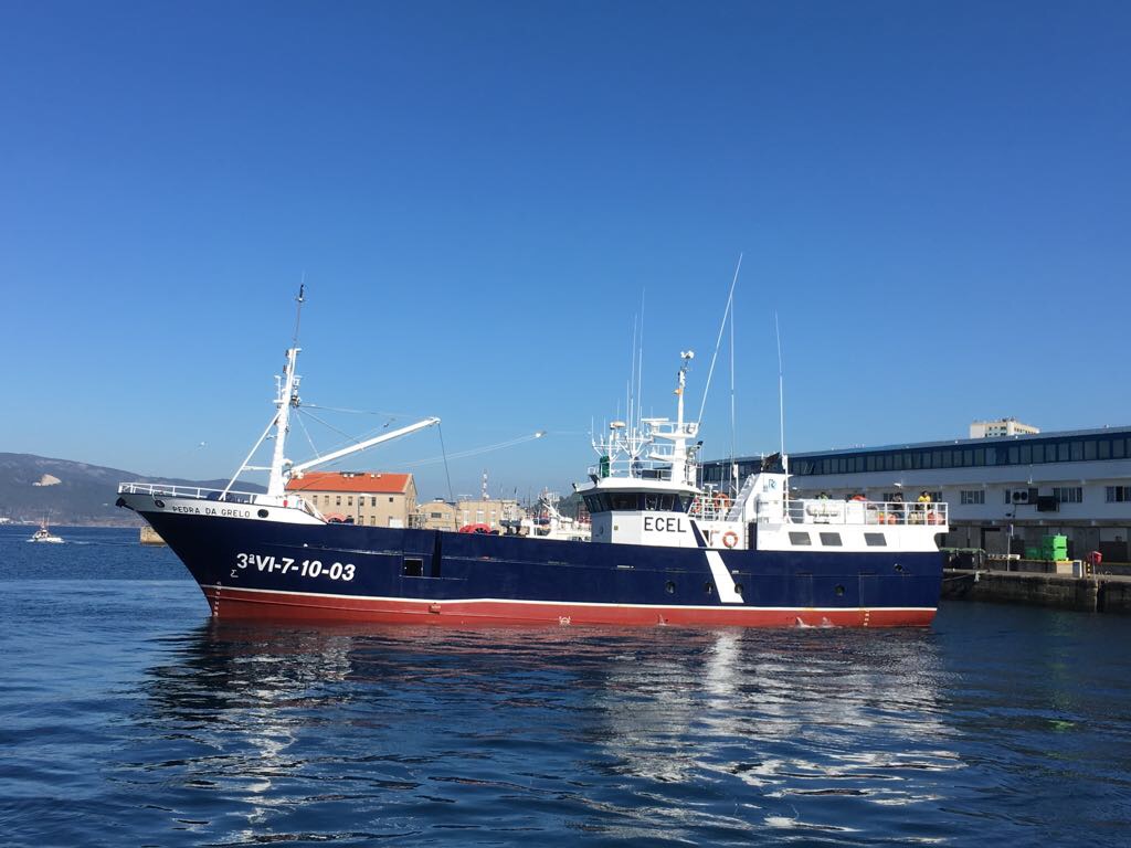 PEDRA DA GRELO (VID: 12031) | Record of Fishing Vessels