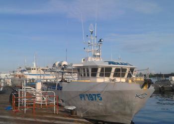 TAHITI RAVA`AI (VID: 5453) | Record of Fishing Vessels